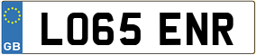 Truck License Plate